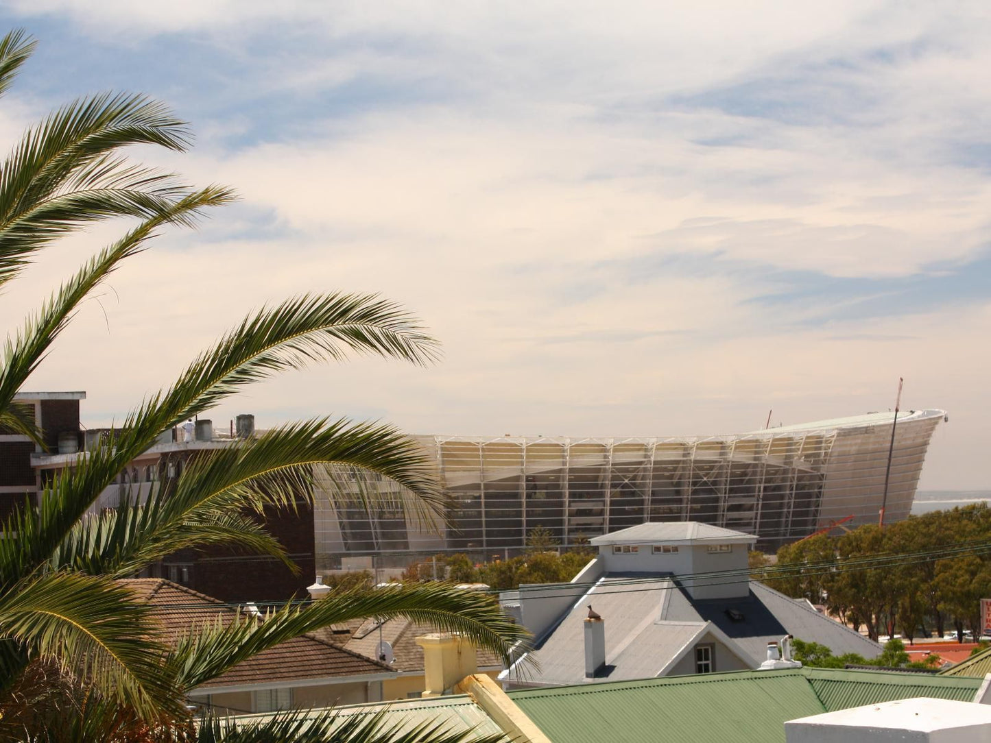 Stadium Guest House Green Point Cape Town Western Cape South Africa Palm Tree, Plant, Nature, Wood, Skyscraper, Building, Architecture, City