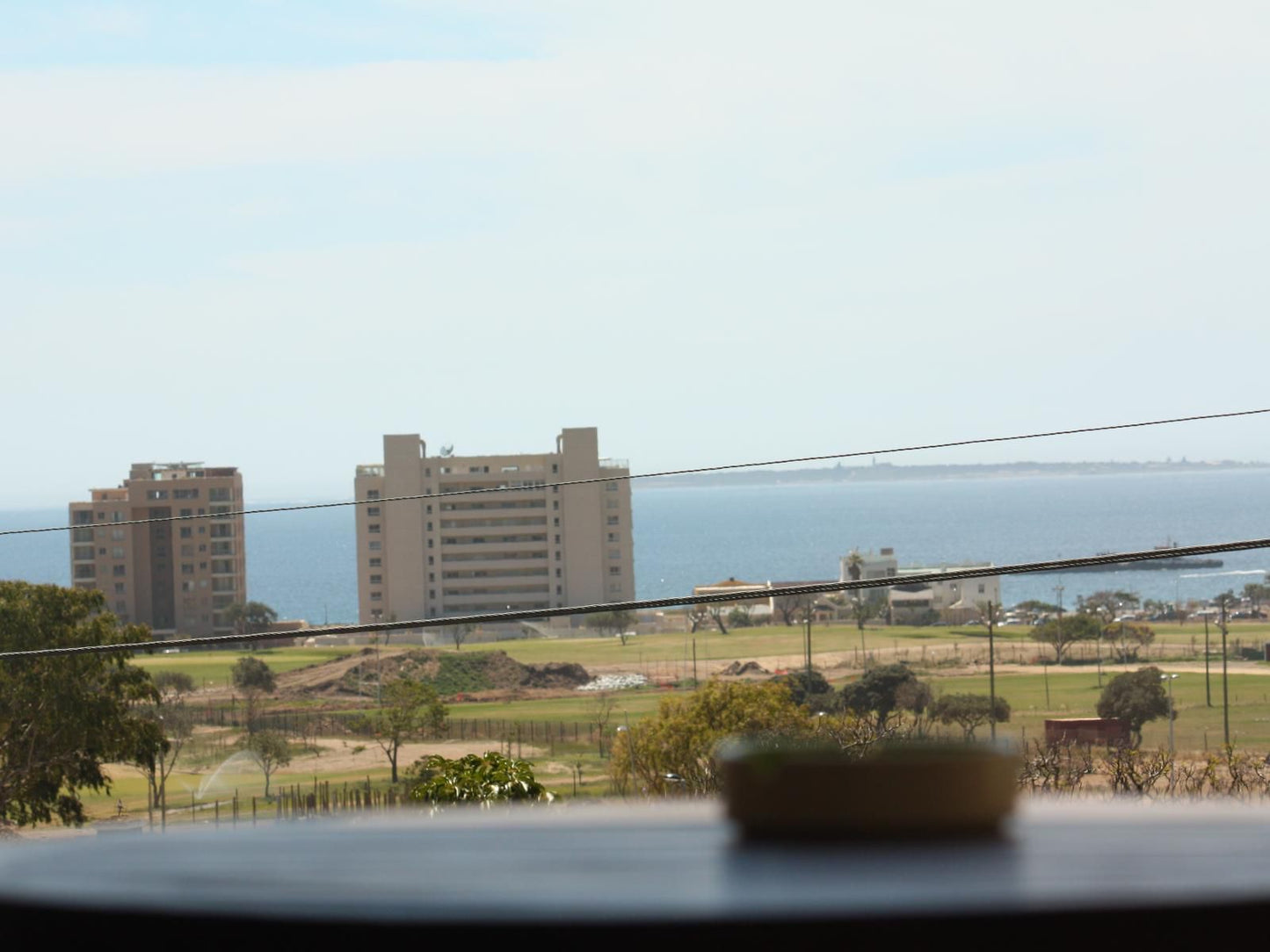 Stadium Guest House Green Point Cape Town Western Cape South Africa Beach, Nature, Sand, Palm Tree, Plant, Wood, Skyscraper, Building, Architecture, City, Tower