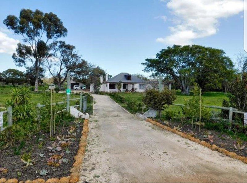 Stanford The Red Rooster Stanford Western Cape South Africa Complementary Colors, House, Building, Architecture, Palm Tree, Plant, Nature, Wood