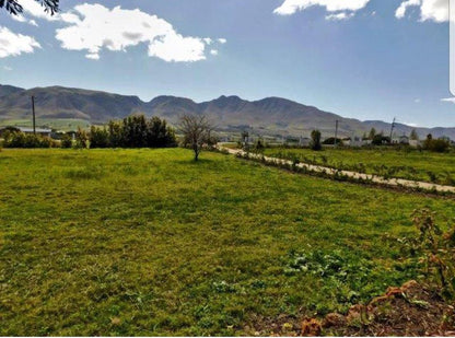 Stanford The Red Rooster Stanford Western Cape South Africa Complementary Colors, Field, Nature, Agriculture