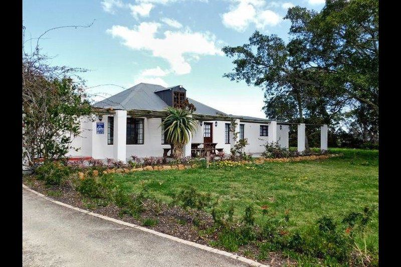 Stanford The Red Rooster Stanford Western Cape South Africa House, Building, Architecture, Palm Tree, Plant, Nature, Wood