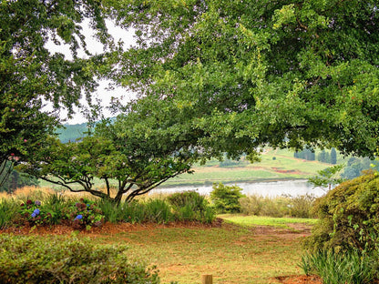 Stanford Lake Lodge Haenertsburg Limpopo Province South Africa Tree, Plant, Nature, Wood