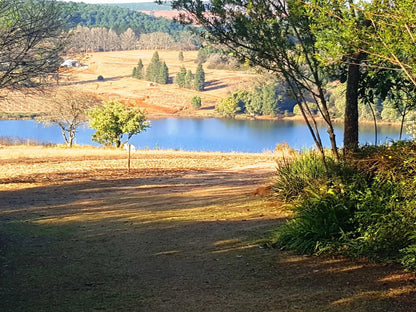 Stanford Lake Lodge Haenertsburg Limpopo Province South Africa Tree, Plant, Nature, Wood