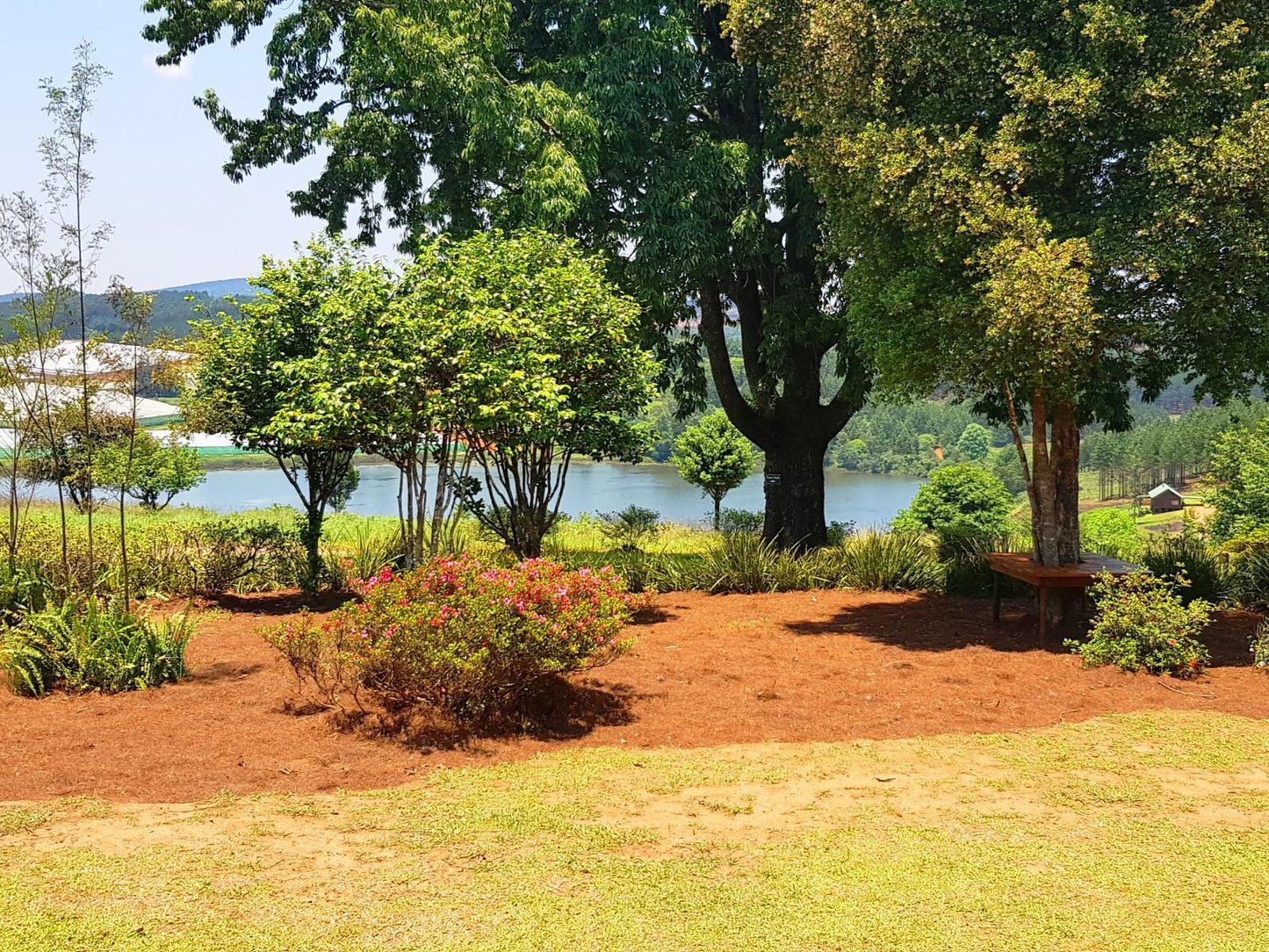 Stanford Lake Lodge Haenertsburg Limpopo Province South Africa Tree, Plant, Nature, Wood