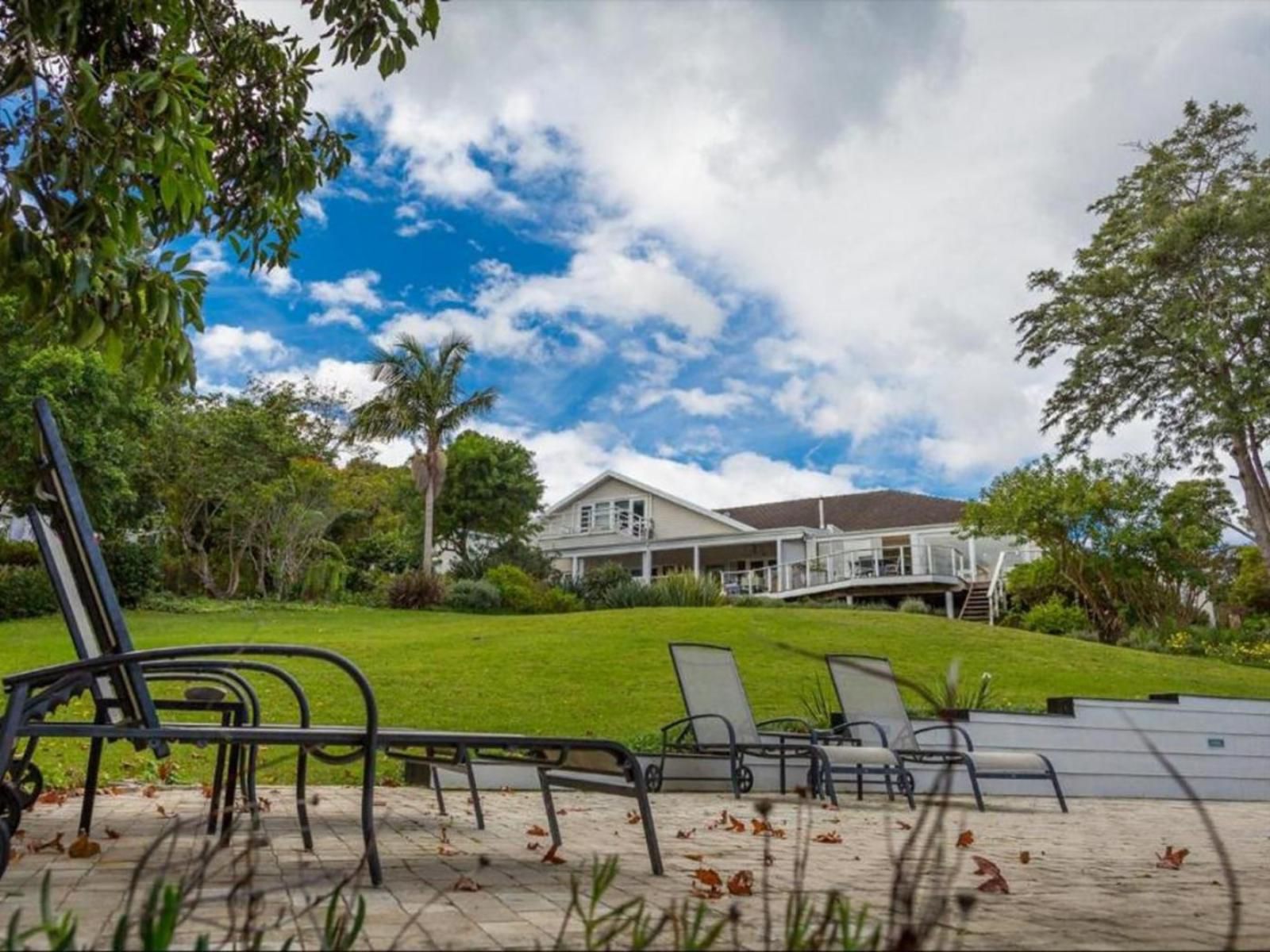 Stannards Guest Lodge Hunters Home Knysna Western Cape South Africa House, Building, Architecture, Palm Tree, Plant, Nature, Wood