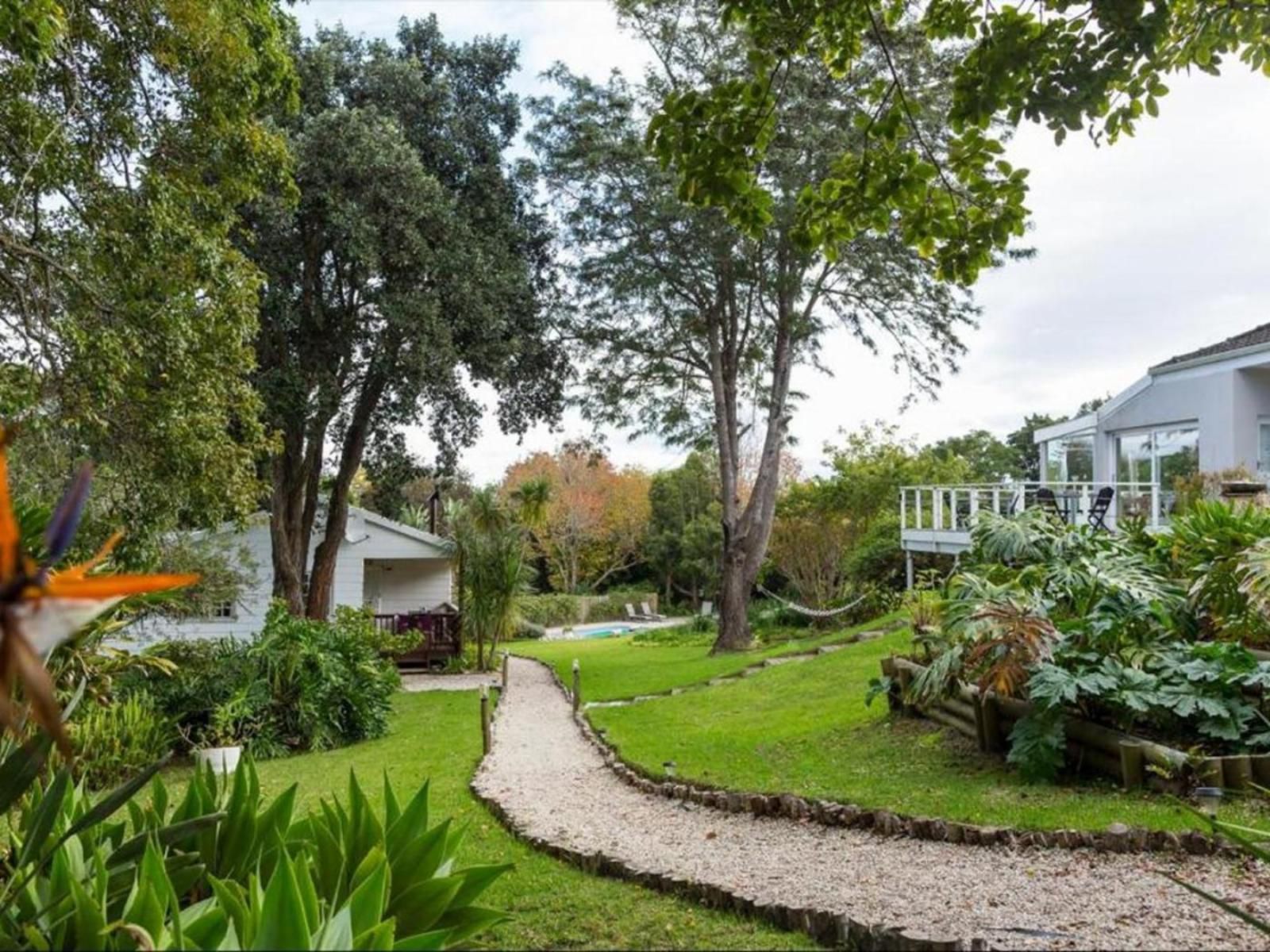 Stannards Guest Lodge Hunters Home Knysna Western Cape South Africa House, Building, Architecture, Palm Tree, Plant, Nature, Wood, Garden