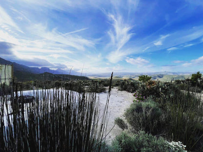 Starry Starry Night Montagu Western Cape South Africa Nature