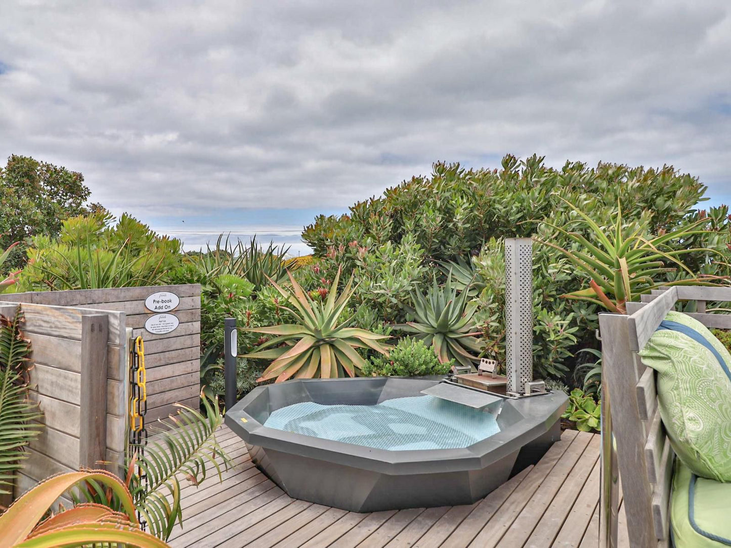 Stay At Friends Bettys Bay Western Cape South Africa Garden, Nature, Plant, Swimming Pool