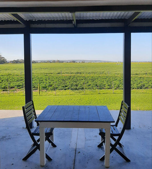 Stay At Nacht Wacht Bredasdorp Western Cape South Africa Complementary Colors, Field, Nature, Agriculture, Canola, Plant, Framing, Lowland