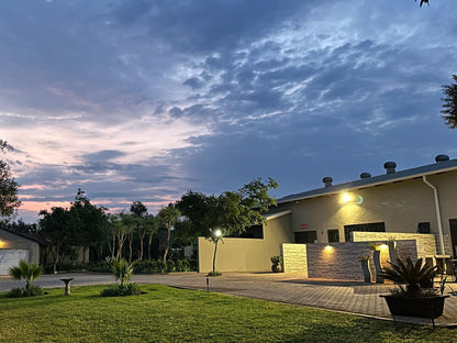 Stay Harties Accommodation, Palm Tree, Plant, Nature, Wood