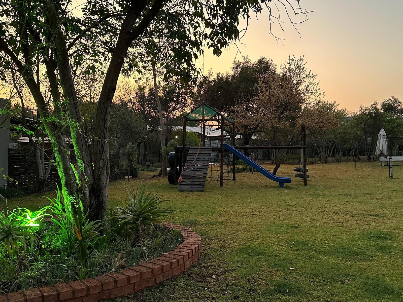 Stay Harties Accommodation, Palm Tree, Plant, Nature, Wood