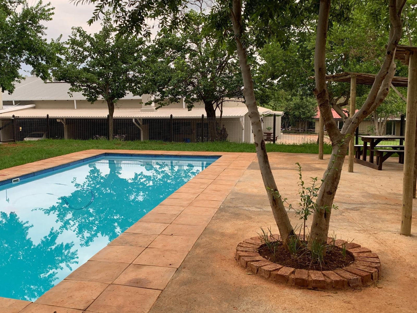 Stay Harties Accommodation, Garden, Nature, Plant, Swimming Pool