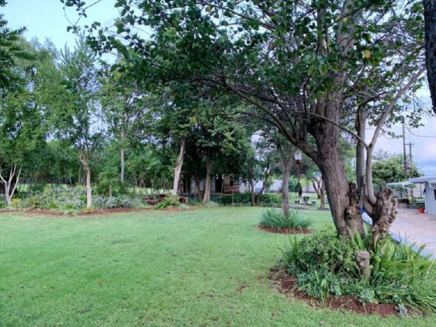 Stay Harties Melodie Hartbeespoort North West Province South Africa Palm Tree, Plant, Nature, Wood, Tree, Garden