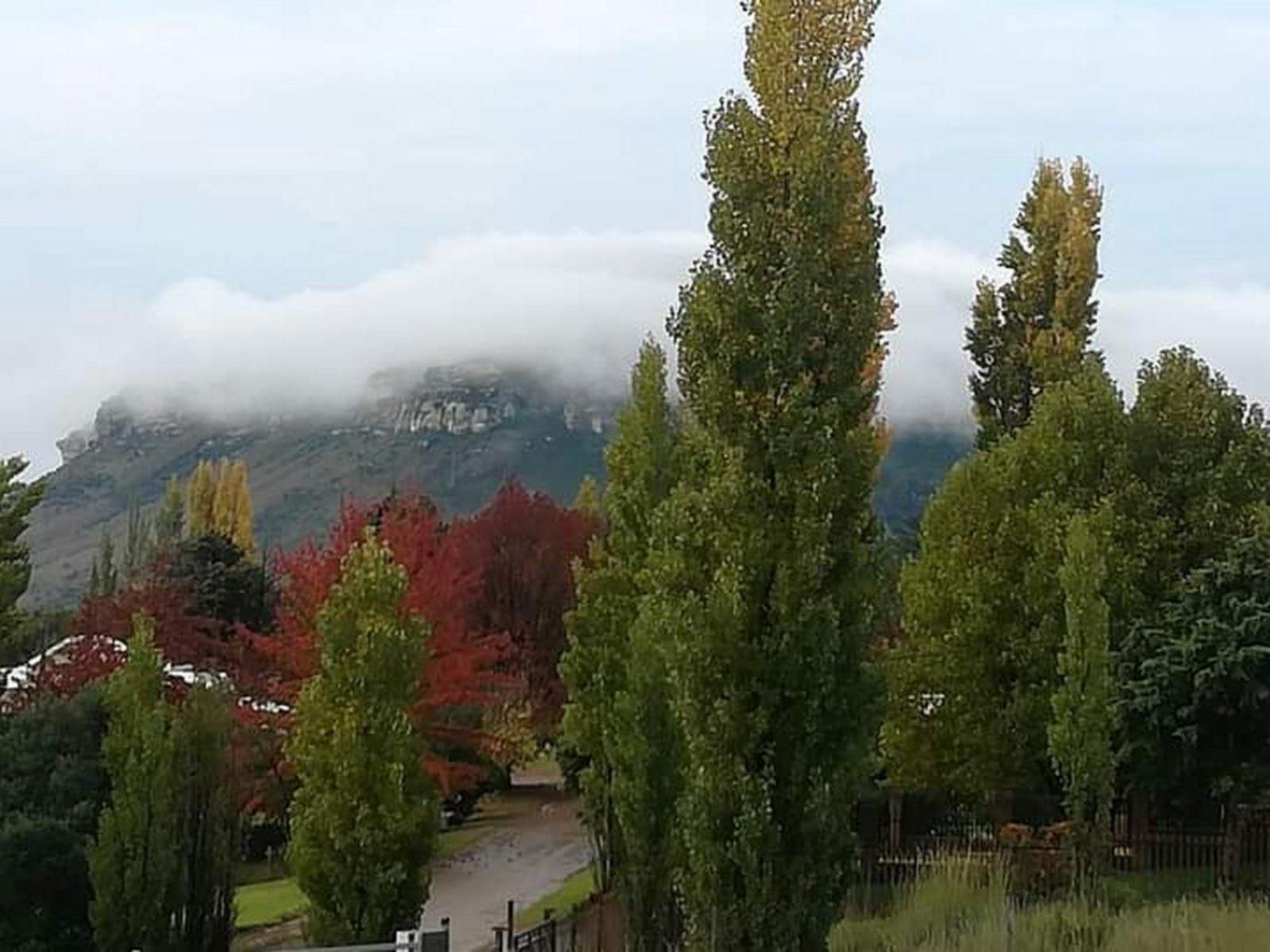 Stay! In Clarens, Mountain, Nature, Tree, Plant, Wood, Autumn, Highland