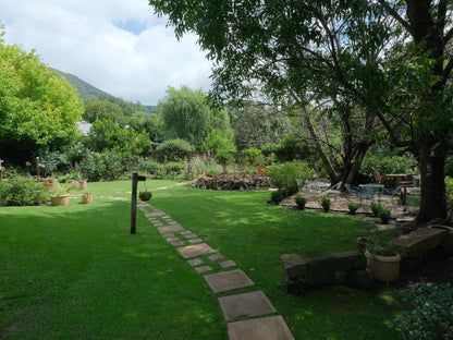 Stay! In Clarens, Plant, Nature, Garden