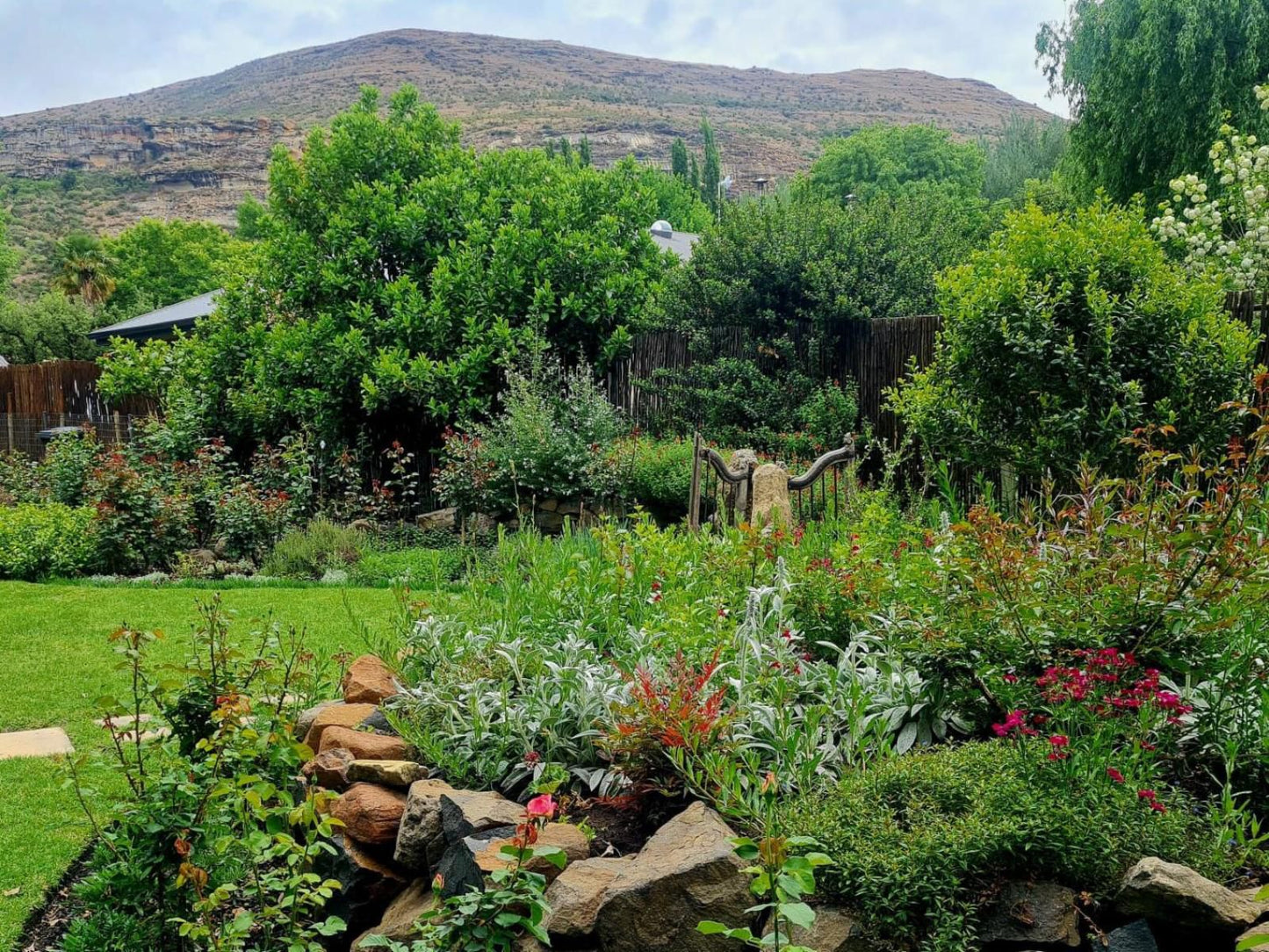 Stay! In Clarens, Plant, Nature, Garden