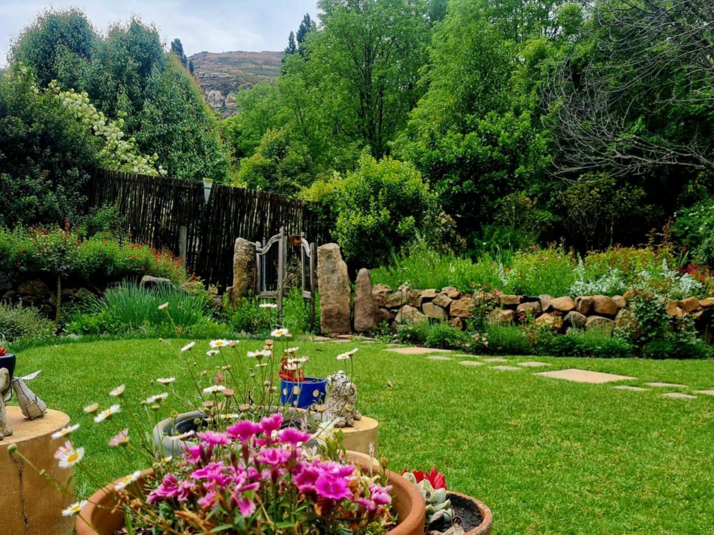 Stay! In Clarens, Plant, Nature, Garden