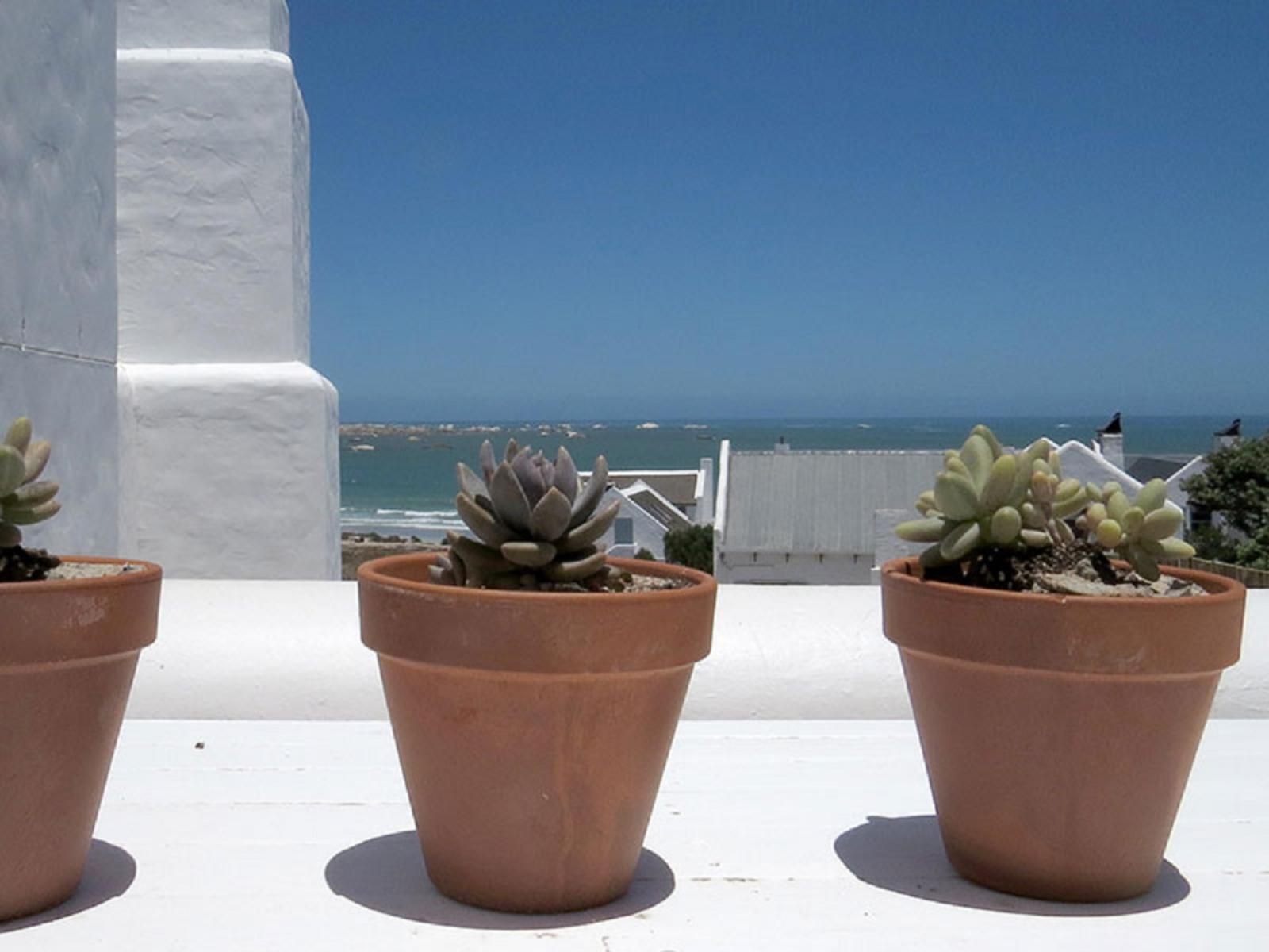 Stay In Paternoster, Dreamcatcher Thyme, Beach, Nature, Sand, Plant