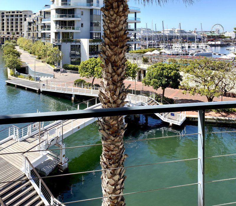 Stay In Style Vanda Waterfront Marina Gulmarn V And A Waterfront Cape Town Western Cape South Africa Palm Tree, Plant, Nature, Wood, City, Architecture, Building