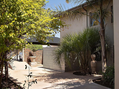 Stay On Top - Northern Cape, House, Building, Architecture, Palm Tree, Plant, Nature, Wood