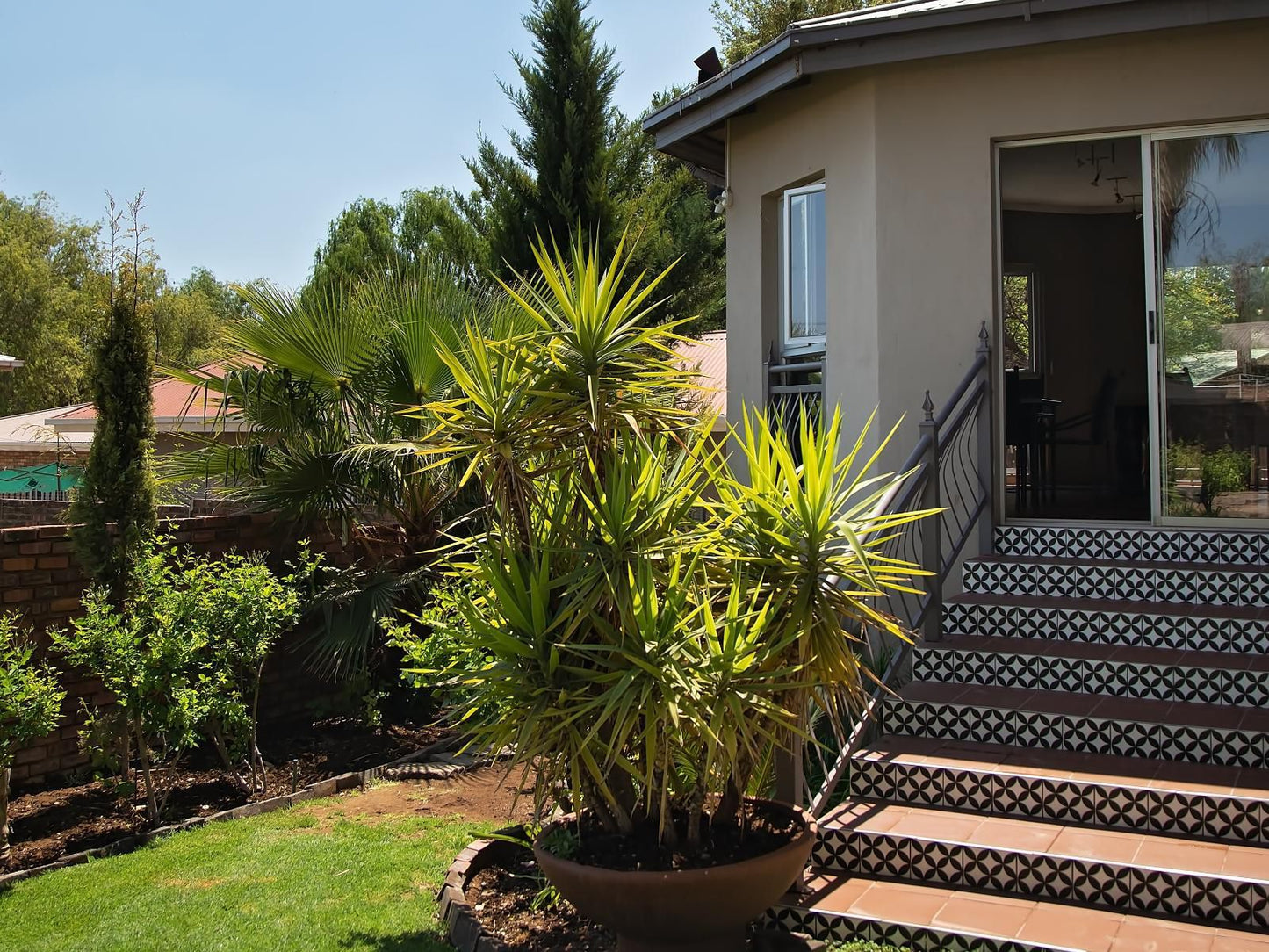 Stay On Top - Northern Cape, House, Building, Architecture, Palm Tree, Plant, Nature, Wood, Garden