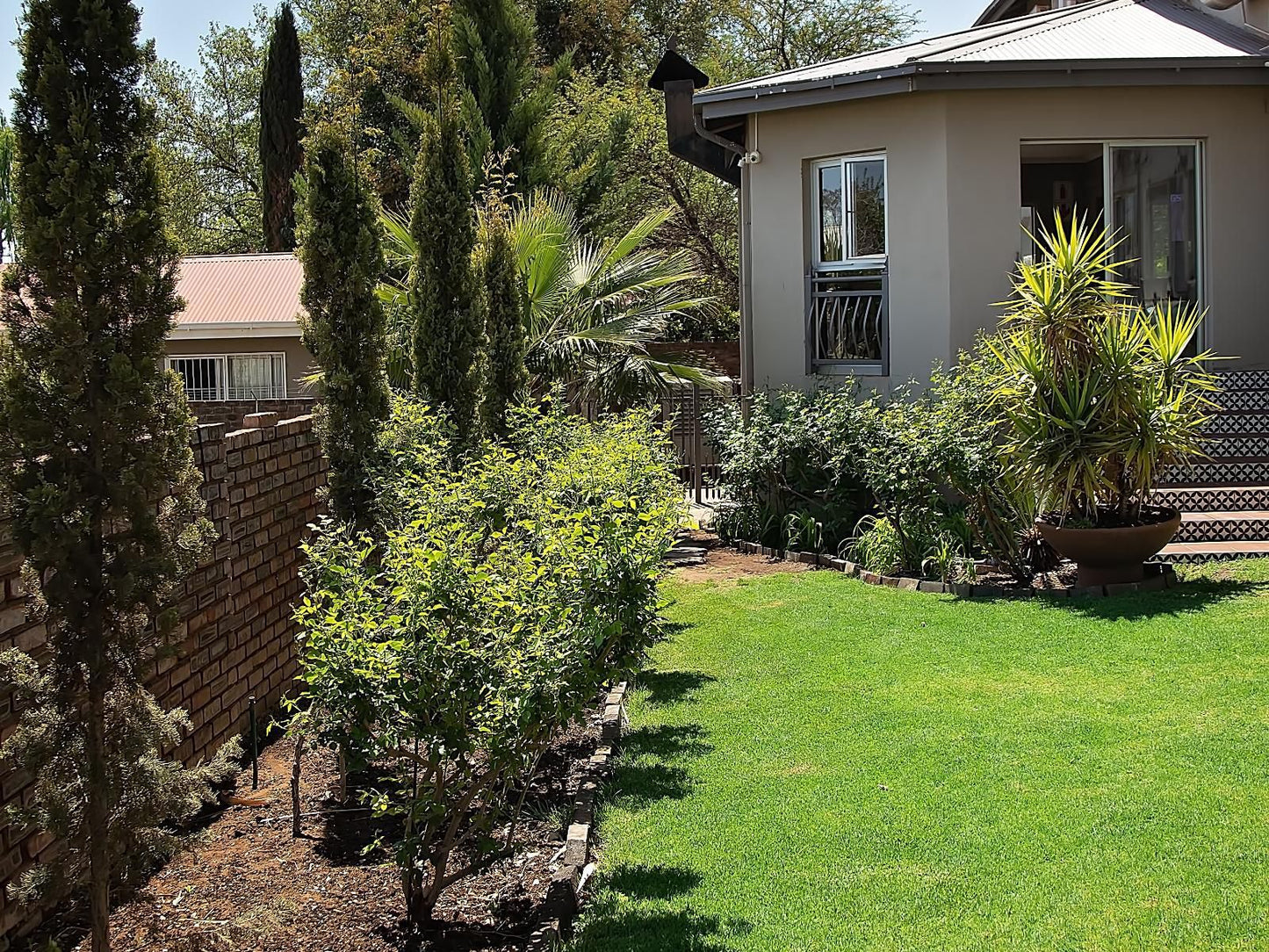 Stay On Top - Northern Cape, House, Building, Architecture, Palm Tree, Plant, Nature, Wood, Garden