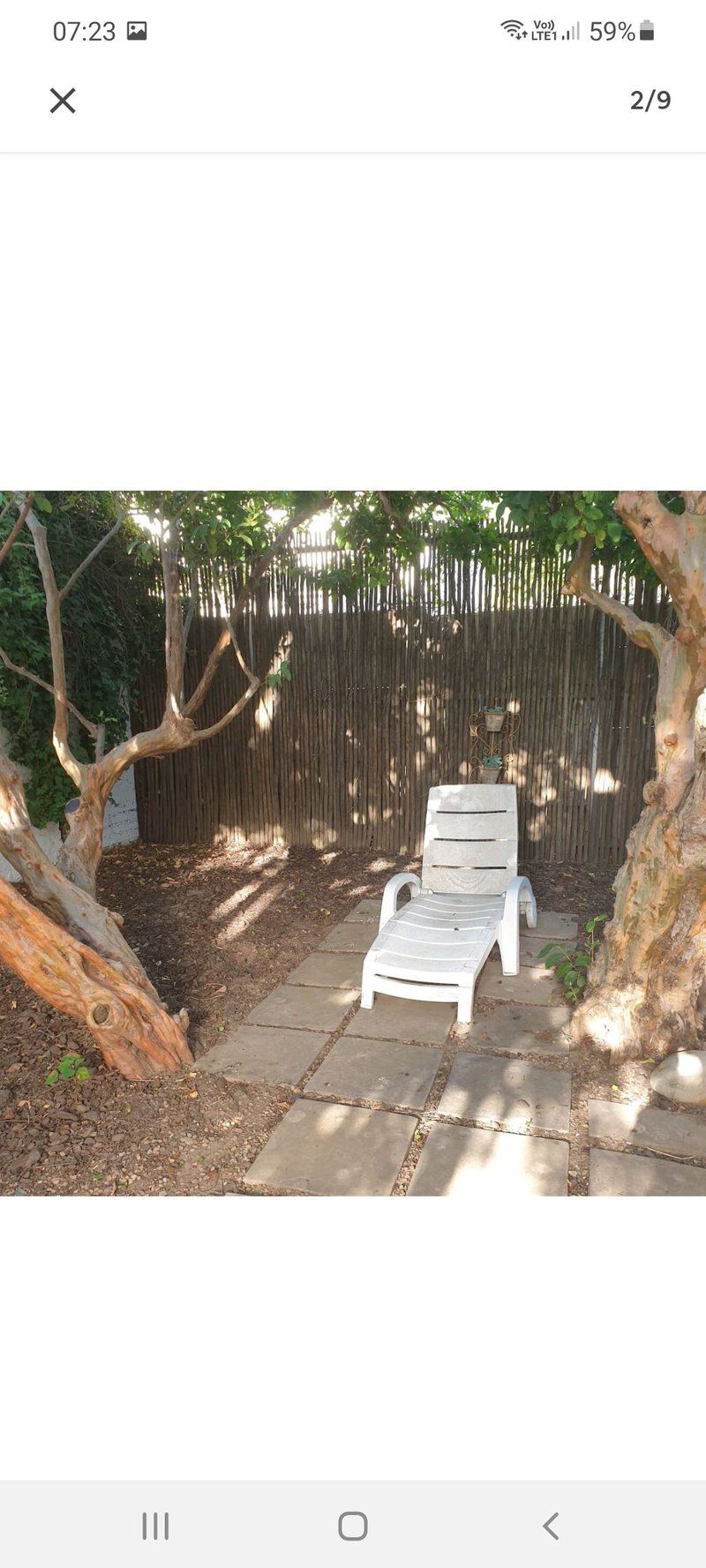 Stellenbosch Apartments Stellenbosch Central Stellenbosch Western Cape South Africa Plant, Nature, Tree, Wood, Garden