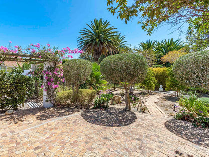 Stellendal Guest House Bergalo Somerset West Western Cape South Africa Complementary Colors, Palm Tree, Plant, Nature, Wood, Garden