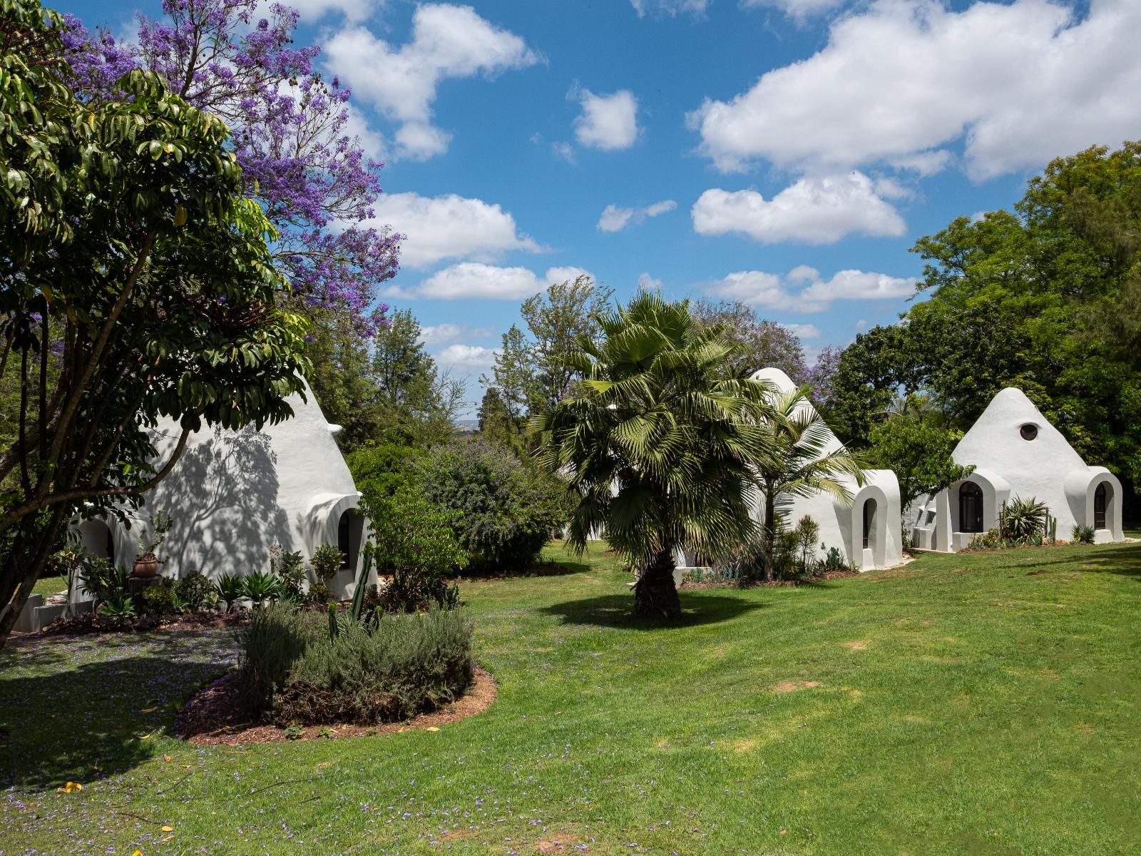 Stellenhof Guesthouse Addo Eastern Cape South Africa Complementary Colors, Plant, Nature, Cemetery, Religion, Grave, Church, Building, Architecture