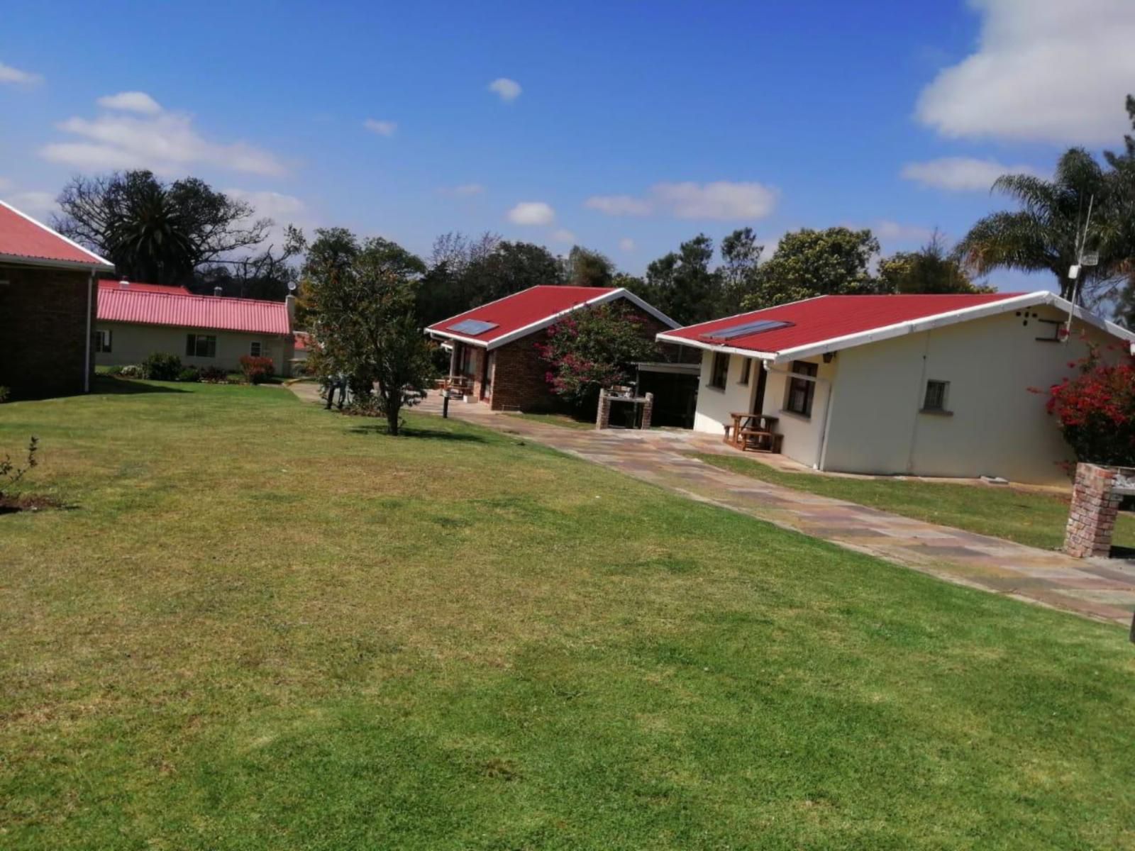 Step Aside Accommodation And Conference Centre Blanco George Western Cape South Africa Complementary Colors