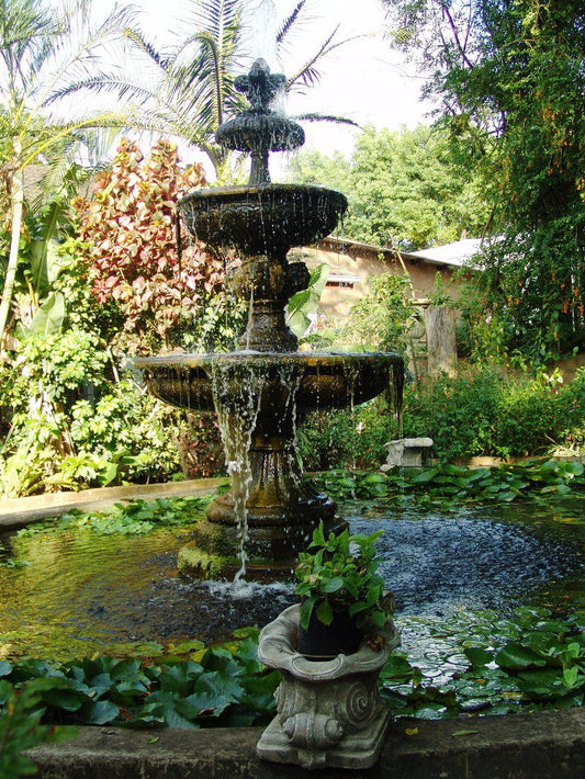 Stephward Estate Uvongo Margate Kwazulu Natal South Africa Fountain, Architecture, Plant, Nature, Garden