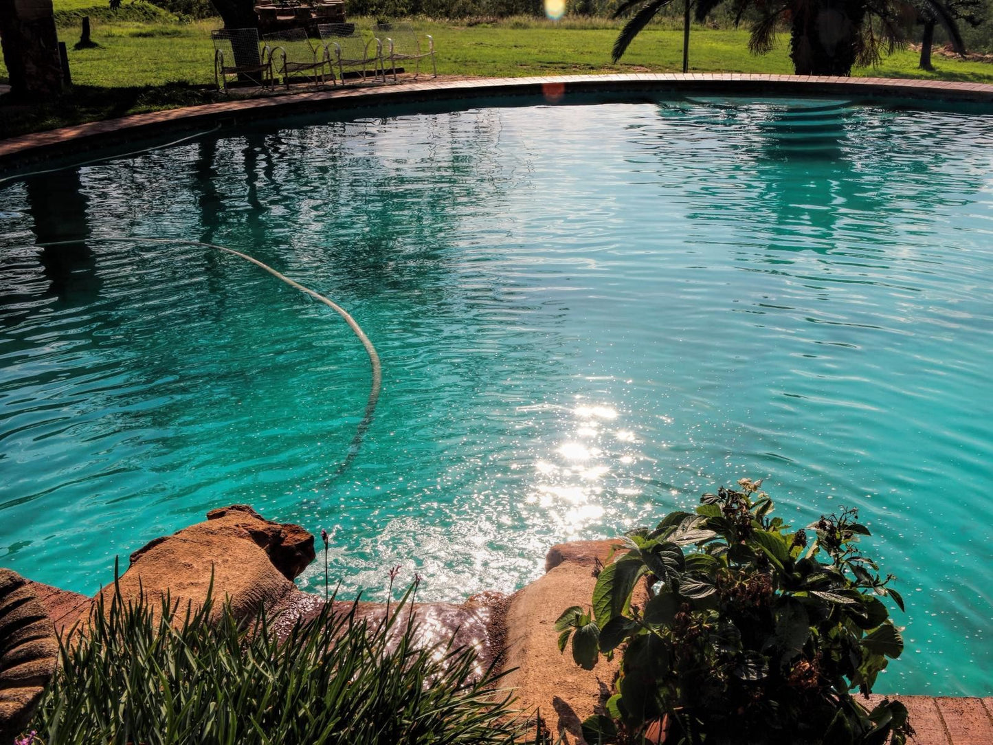 Sterkfontein Heritage Lodge Krugersdorp Gauteng South Africa Garden, Nature, Plant, Swimming Pool