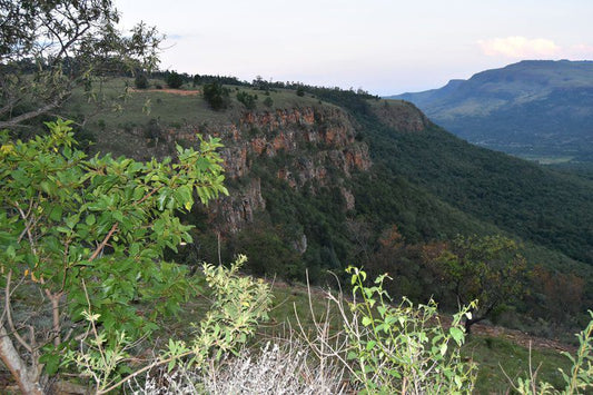 Sterkspruit Mountain Haven Schoemanskloof Mpumalanga South Africa Forest, Nature, Plant, Tree, Wood, Mountain, Highland