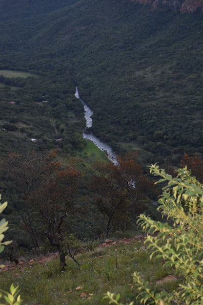 Sterkspruit Mountain Haven Schoemanskloof Mpumalanga South Africa Bridge, Architecture, River, Nature, Waters, Tree, Plant, Wood, Waterfall, Highland