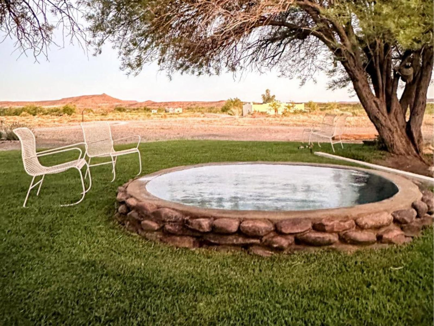 Steynskraal Gasteplaas, Garden, Nature, Plant, Swimming Pool