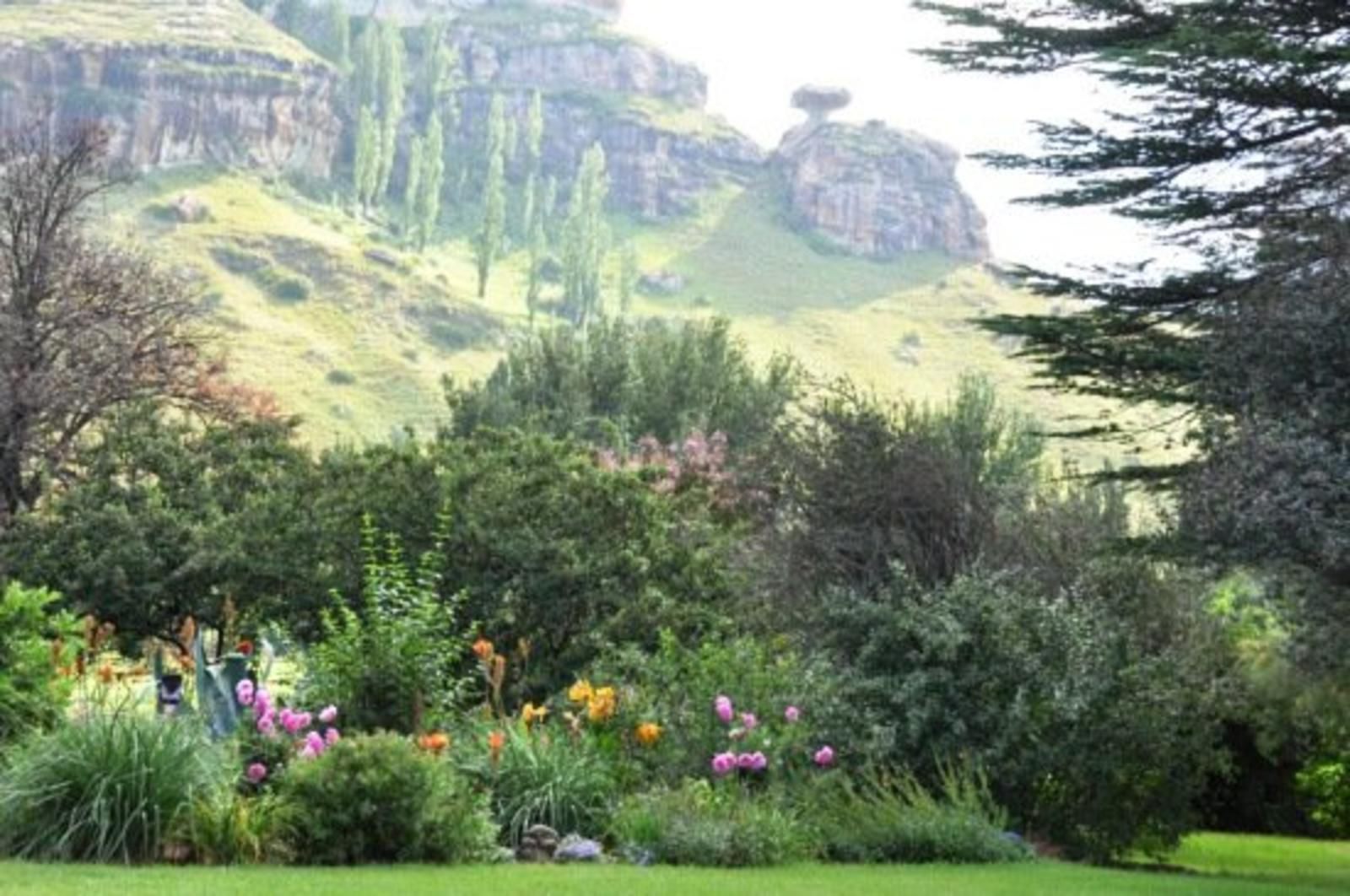 St Fort Country House Clarens Free State South Africa Meadow, Nature, Plant, Garden