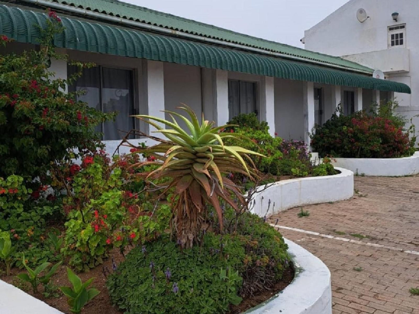St Helena Bay Hotel St Helena Bay Western Cape South Africa House, Building, Architecture, Palm Tree, Plant, Nature, Wood