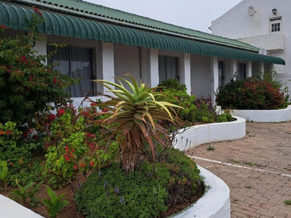 St Helena Bay Hotel St Helena Bay Western Cape South Africa House, Building, Architecture, Palm Tree, Plant, Nature, Wood