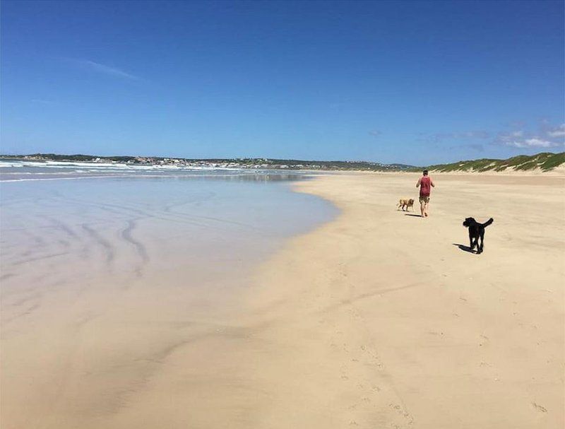 Stilbaai Family Holiday Home Still Bay West Stilbaai Western Cape South Africa Complementary Colors, Dog, Mammal, Animal, Pet, Beach, Nature, Sand