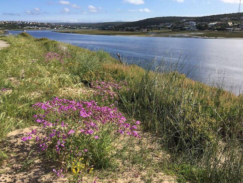 Stilbaai Family Holiday Home Still Bay West Stilbaai Western Cape South Africa Beach, Nature, Sand, Plant