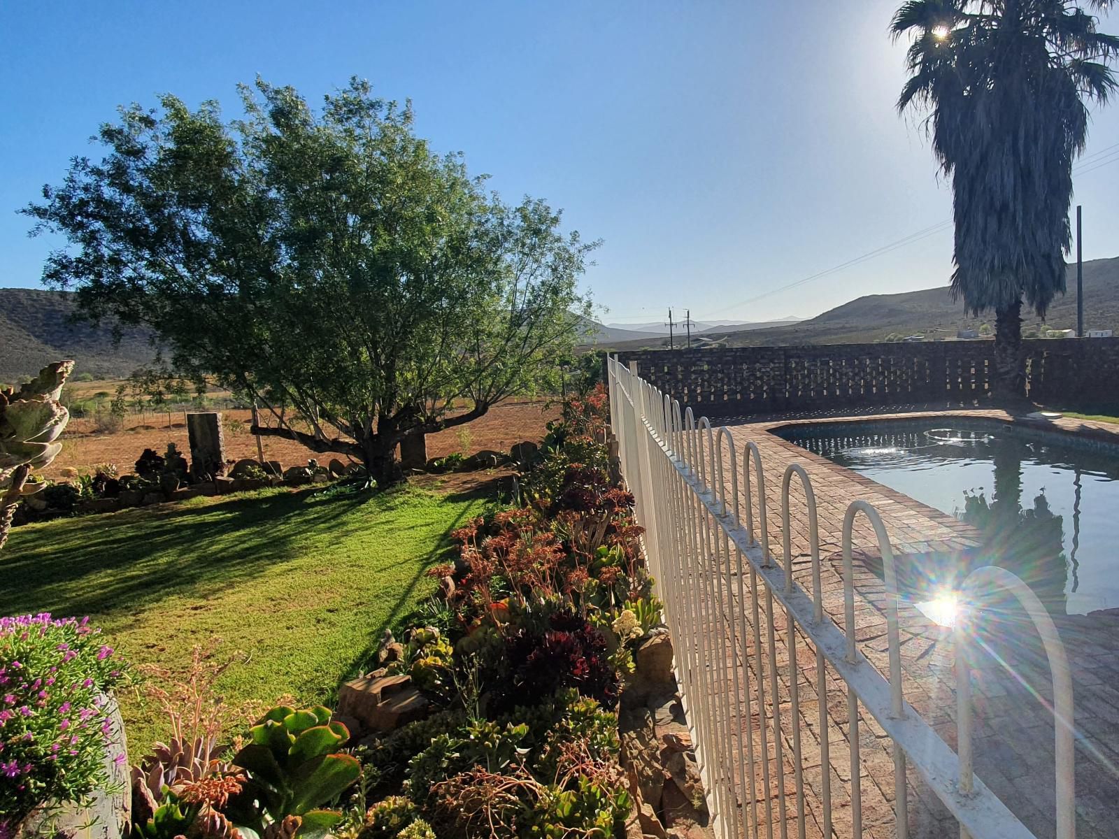 Stille Karoo Oudtshoorn Western Cape South Africa Complementary Colors, Bridge, Architecture, Palm Tree, Plant, Nature, Wood, Garden