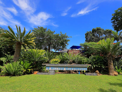 St Lucia Hilltop Guest House St Lucia Kwazulu Natal South Africa Complementary Colors, Palm Tree, Plant, Nature, Wood