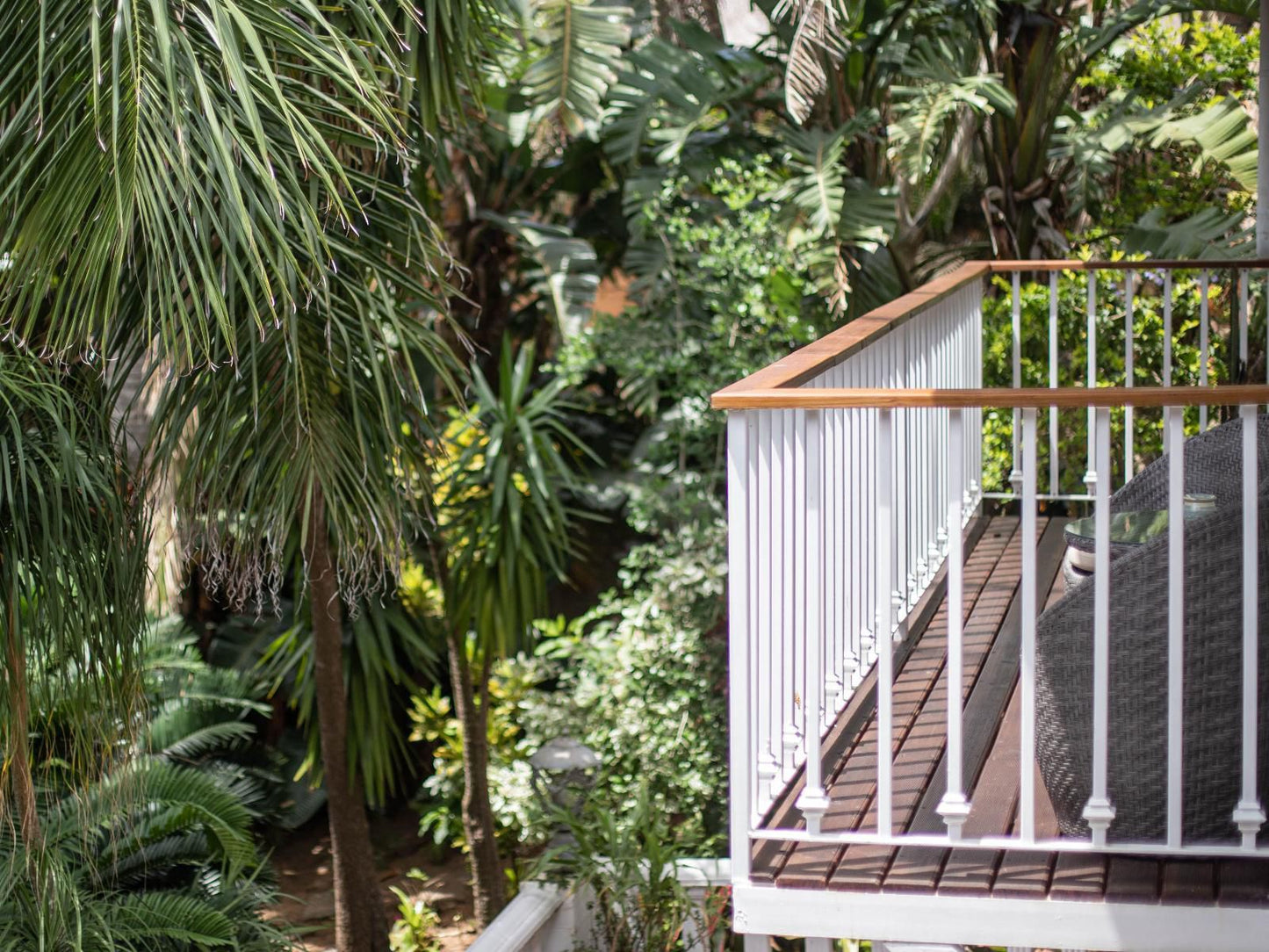 St Lucia Wetlands Guesthouse St Lucia Kwazulu Natal South Africa Palm Tree, Plant, Nature, Wood, Garden