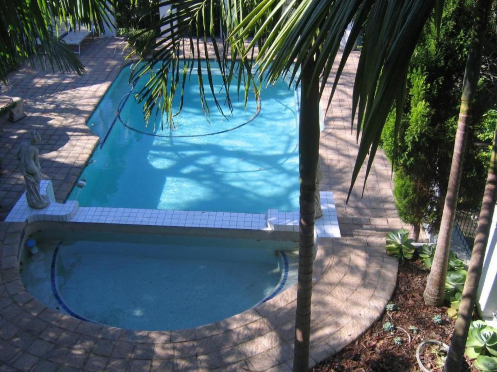 St Lucia Wetlands Guesthouse St Lucia Kwazulu Natal South Africa Palm Tree, Plant, Nature, Wood, Swimming Pool