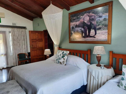 St Lucia Wetlands Guesthouse St Lucia Kwazulu Natal South Africa Elephant, Mammal, Animal, Herbivore, Bedroom