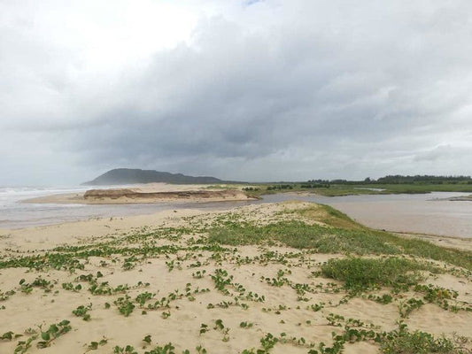 St Lucia Wilds St Lucia Kwazulu Natal South Africa Beach, Nature, Sand