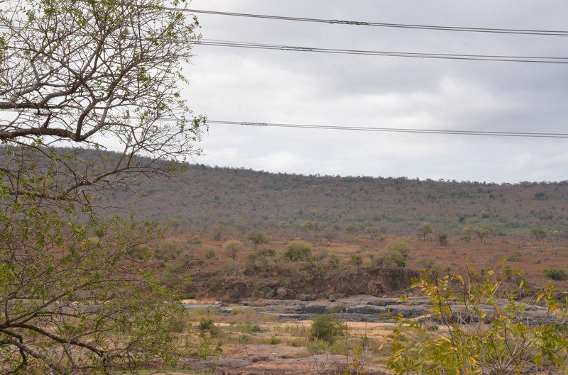 Stoep At Steenbok Street Komatipoort Mpumalanga South Africa Nature