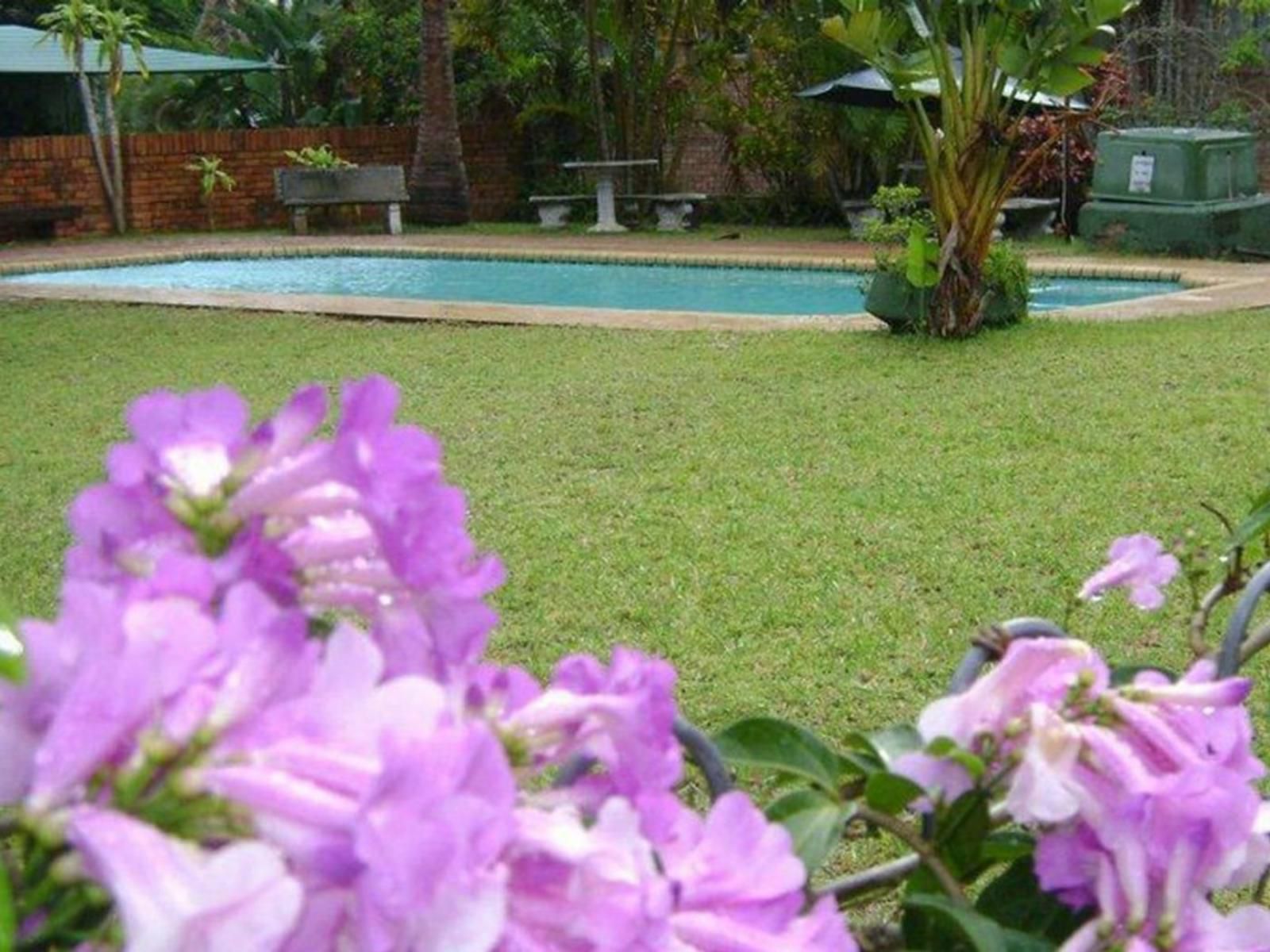 Stokkiesdraai Holiday Accommodation, Palm Tree, Plant, Nature, Wood, Garden, Swimming Pool