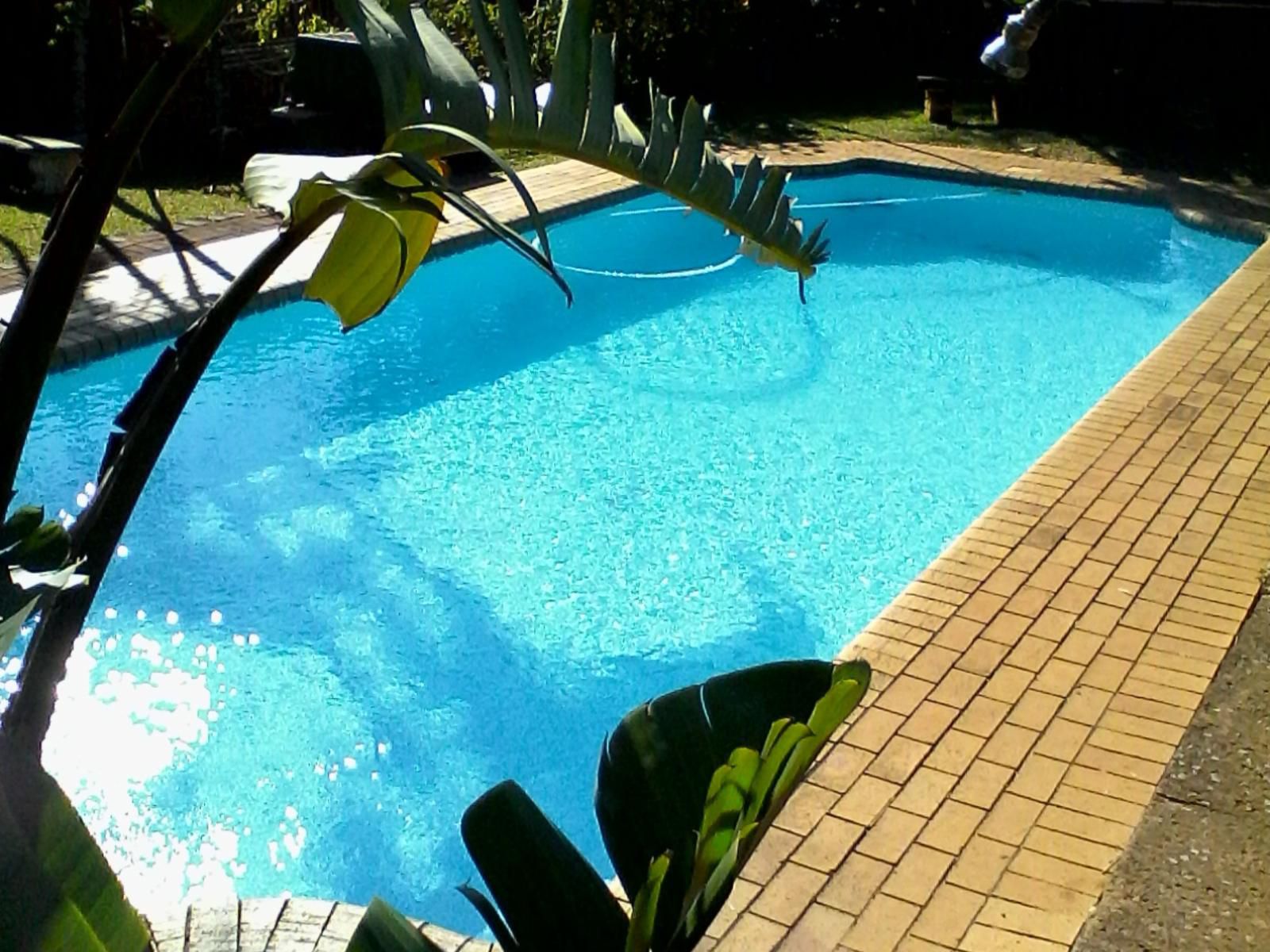 Stokkiesdraai Holiday Accommodation, Garden, Nature, Plant, Swimming, Water Sport, Sport, Person, Swimming Pool