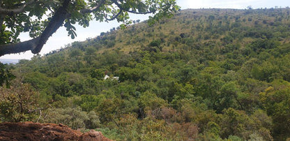 Stone Cottage On Exclusive Bush Farm Cultural Heartland Mpumalanga South Africa Forest, Nature, Plant, Tree, Wood, Text